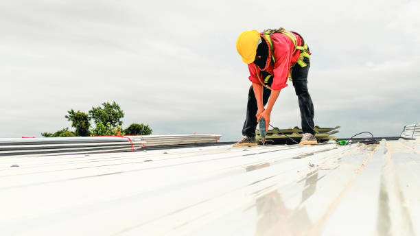 Sheet Metal Roofing in Lakeland, GA